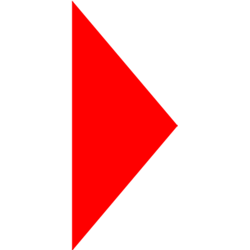 Vida571
